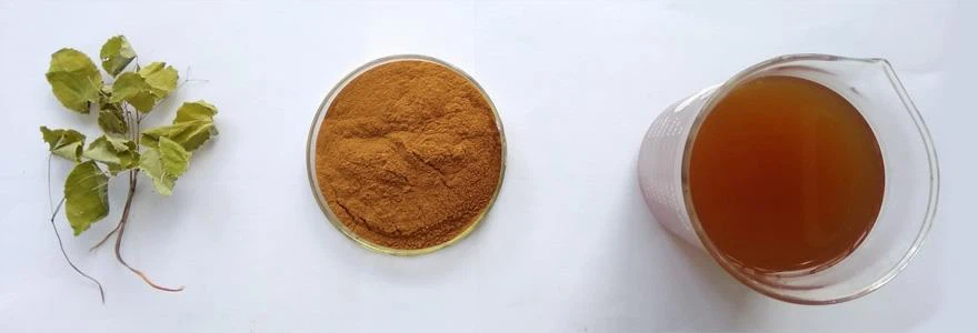 Epimedium Extract Icariin