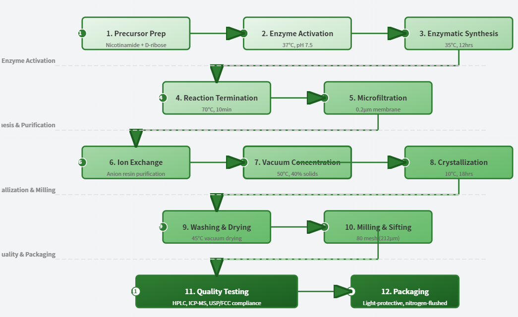 NMN Powder Production Process (99% Purity) NMN Powder Production Process (99% Purity)