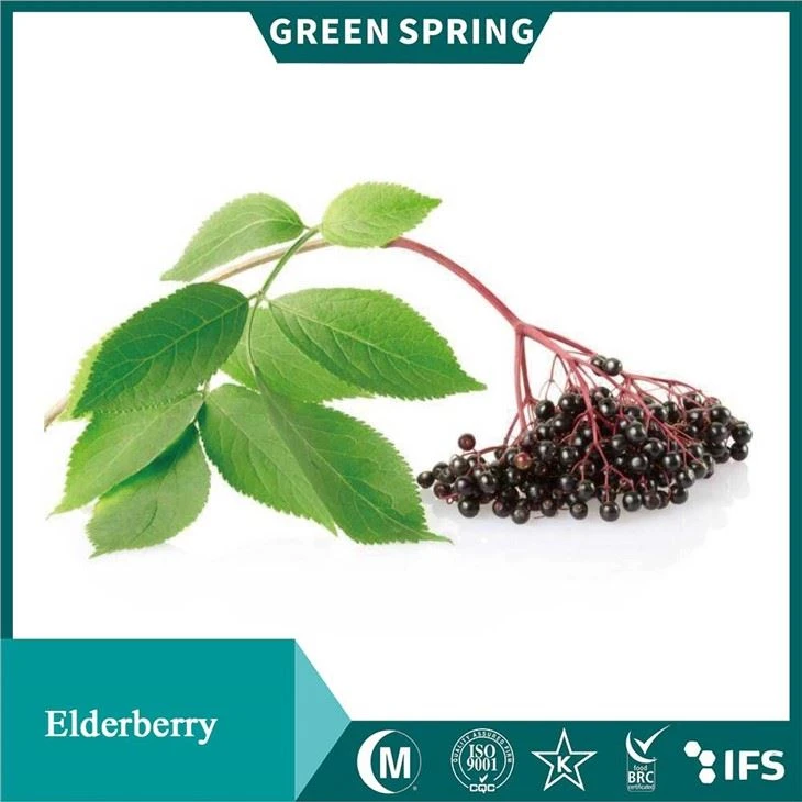 Elderberry